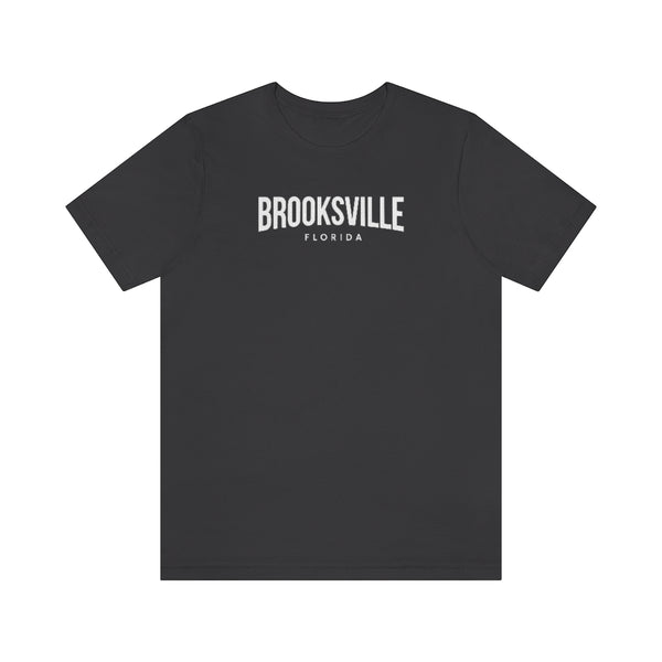 Brooksville Florida Classic T-Shirt